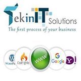 CMS Designing Service