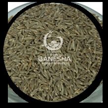 Cumin Seed