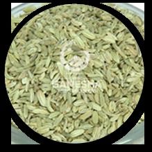 Fennel Seed