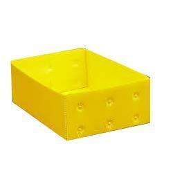 Plastic Corrugated Box