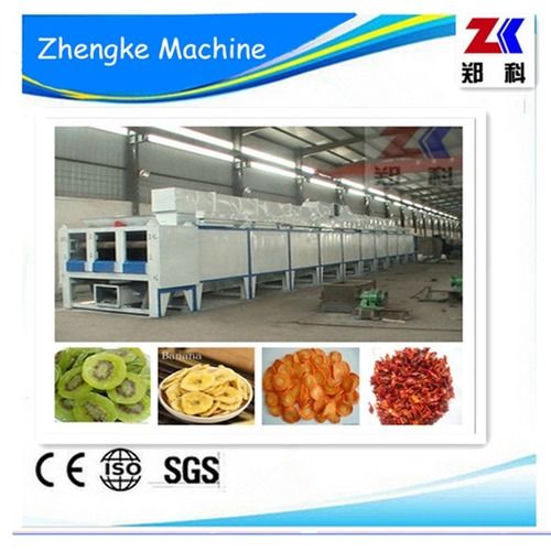 Vegetables And Fruits Mesh Belt Dryer