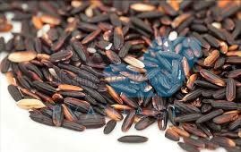 Black Rice