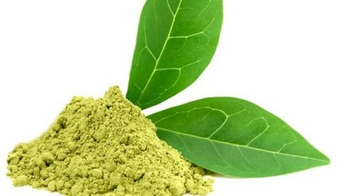 Ceiling Channel Green Tea Extract And Powder