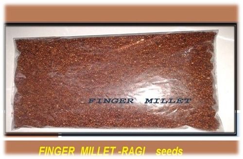 Finger Millets