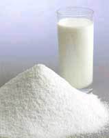 Milk Powder