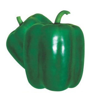 Capsicum