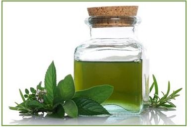 Peppermint Oil