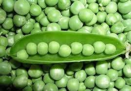 Fresh Peas