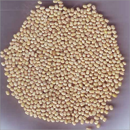 Urad Dal