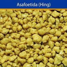 Perforated Planter (Stainless Steel) Asafoetida (Hing)