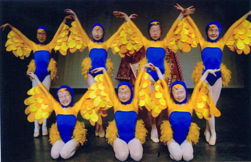 Bird Costumes