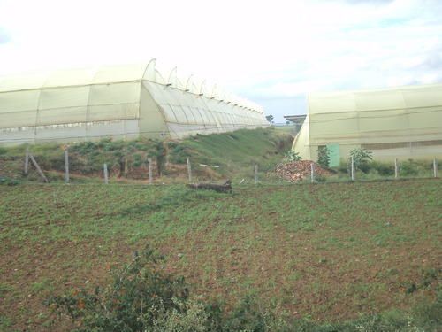 Open Vent Greenhouse