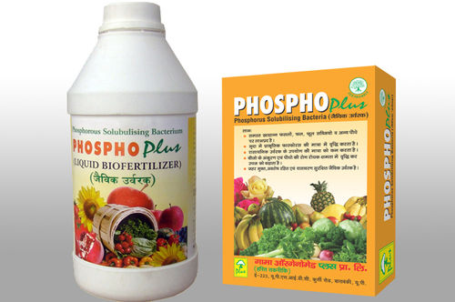 Phospho Plus