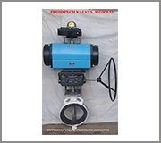 Pneumatic Valve