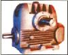 Worm Reducers