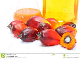 Crude Refined Palm Oil