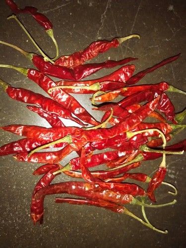 Teja Chilli