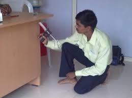 Low Cost Pest Control Services By Divine International