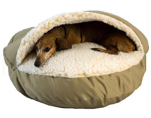 Dog Beds