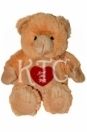 Kids Teddy Bear