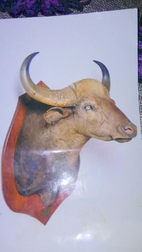 Handcrafted Paper Messi Bull Head