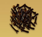 Cloves