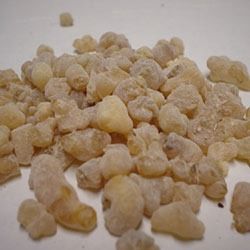 Boswellia Serrata Dry Extract