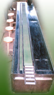 Tablet Sorting Conveyor