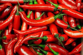 Fresh Red Chilli