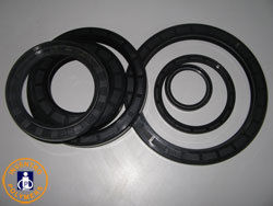 Viton Oil Seals