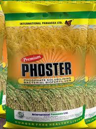 Phosphate Solubilizing Bacterial Bio-Fertilizer