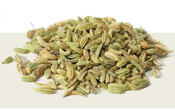 Fennel Seeds