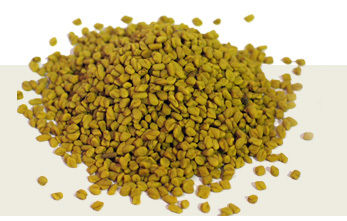 Fenugreek Seeds