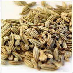 Fennel Seed Oil