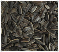 Sunflower Seeds Black