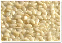 Hulled Sesame Seeds - Mechanically Hulled and Dried, Pure White Color, Typical Odour and Taste, No Foreign Odour