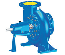 Dbl Utility Pump