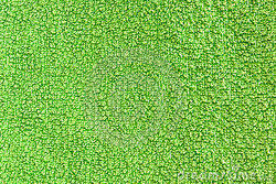 Green Terry Texture Fabric