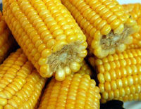 Frozen Sweet Corn