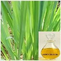 Lemon Grass Oil