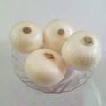 White Onion