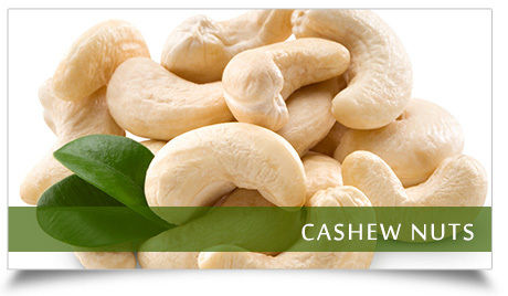 Cashew Nuts