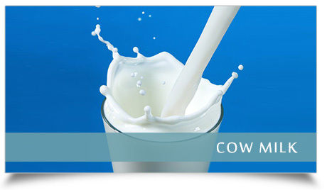 Cow Milk