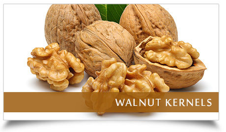 Walnut Kernels