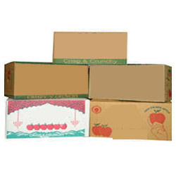 Green And Blue Fruit Packaging Corrugated Box