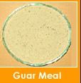 Guar Meal Cattle Feed