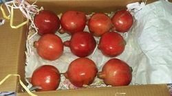 Delicious Taste Farm Fresh Pomegranate