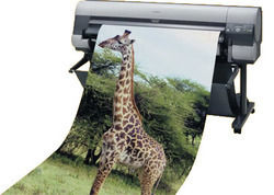 Poster Printing Services - High-Quality Ink, Flexible Customization , Long-Lasting Prints