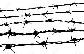Reliable Barbed Wires