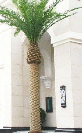 Artificial Date Palm Tree 